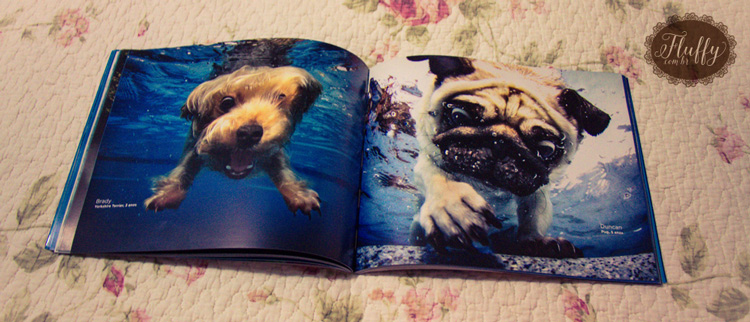 resenha do livro Cachorros Submarinos