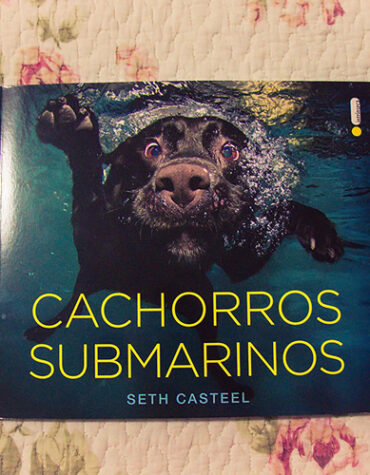 Seth Casteel – Cachorros Submarinos